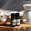 Aceite 10ml hornito Palo Santo