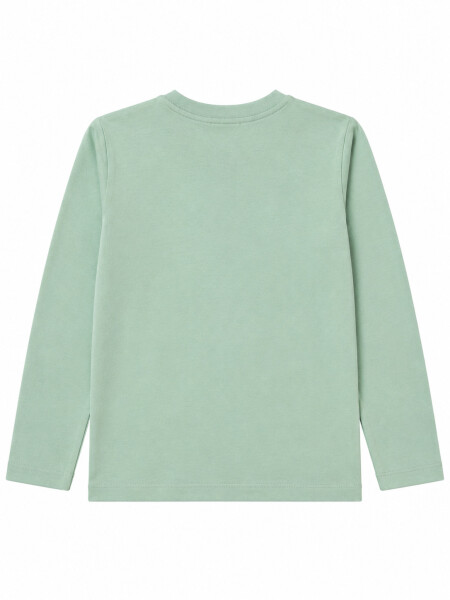 REMERA POSITIVE BLOOM VERDE GRISACEO