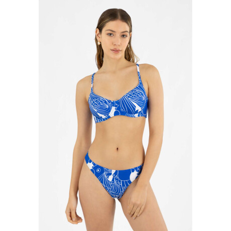 Copa balco est. Papagayo