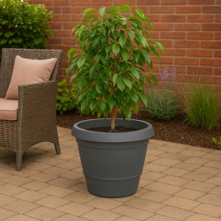 MACETA REDONDA GRANDE 44 LITROS GRIS MACETA REDONDA GRANDE 44 LITROS GRIS