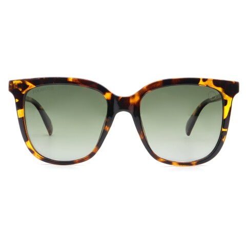 Lentes de Sol Chilli Beans Ilhabela Marrón