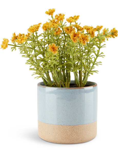 Maceta DION Ø8xA8cm azul Maceta DION Ø8xA8cm azul