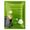 Teaology Green Tea Aha + BHA Mask Teaology Green Tea Aha + BHA Mask