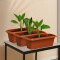 Set x3 Maceta rectangular 3 lts MARRON