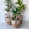 Planta artificial decorativa Planta artificial decorativa