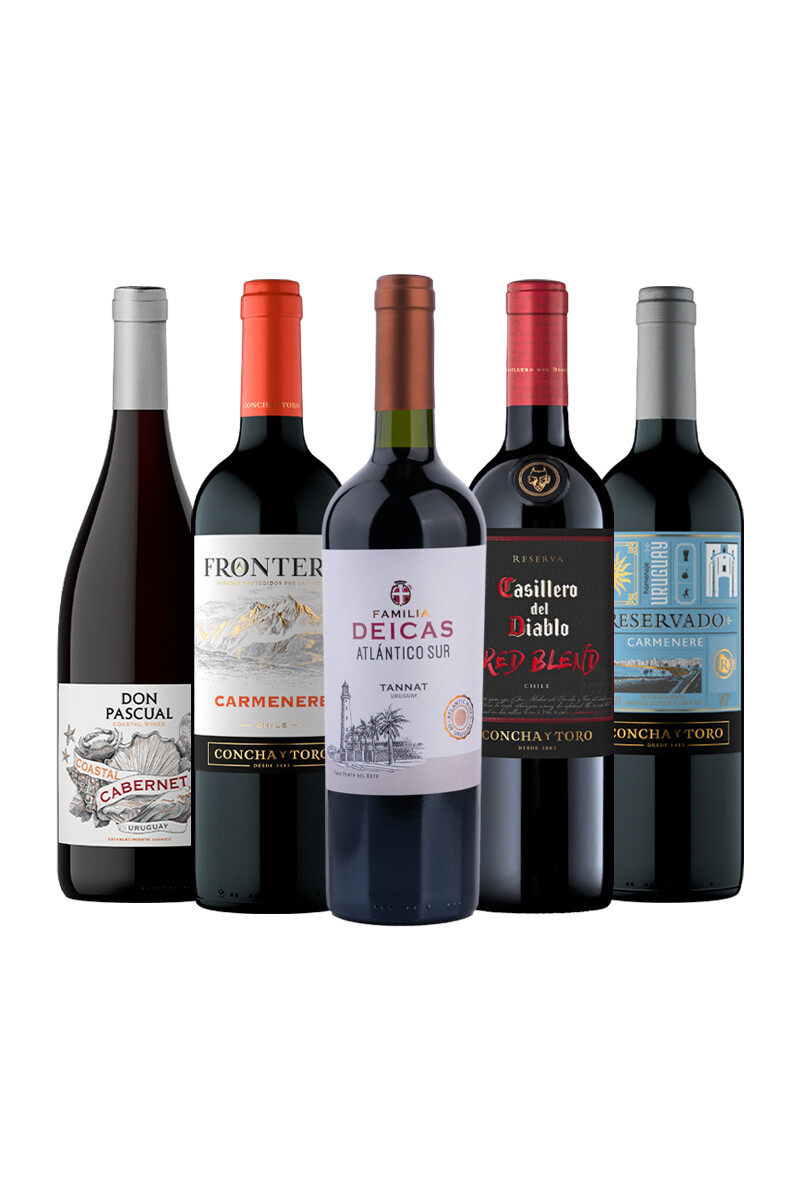 Pack Bacán Selección Mundialista x5 vinos Primer Brindis 