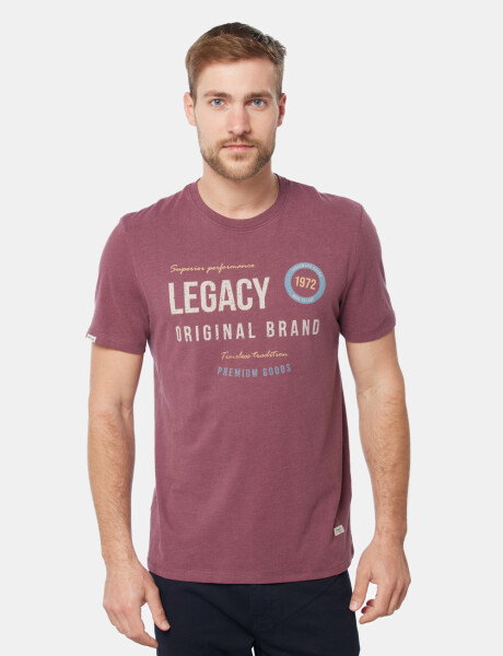 REMERA ESTAMPADA Bordo