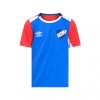 REMERA NUO Nacional Oficial Junior Gray