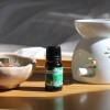 Aceite 10ml hornito Menta