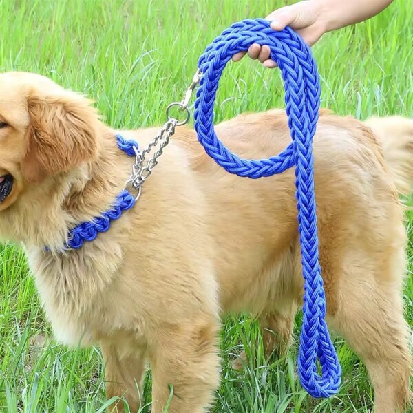 Set Correa Trenzada Collar Semi Ahorque Perros Cuerda Color Variante Azul