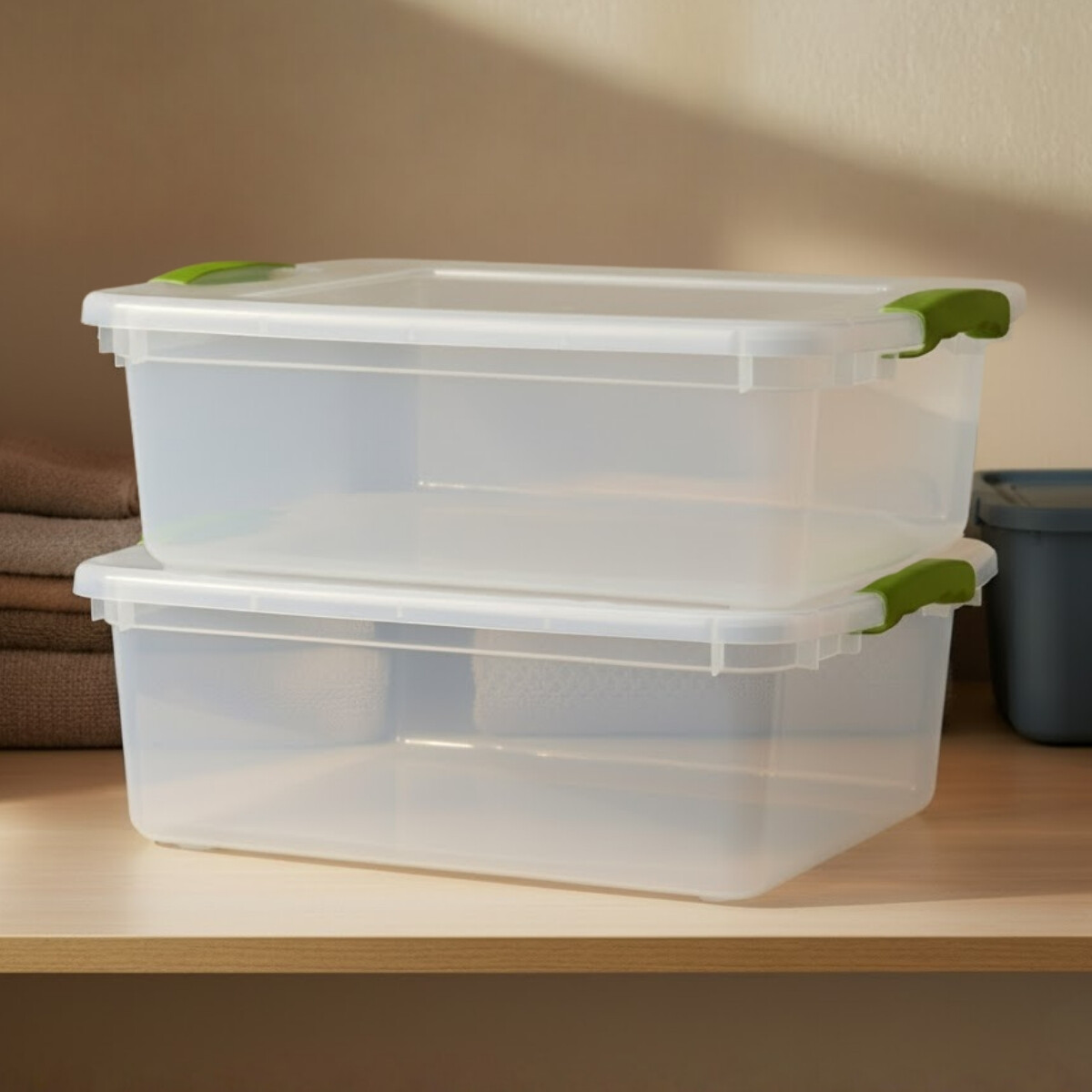 Set x2 Caja organizadora 15 lts Wenbox - TRANSPARENTE 