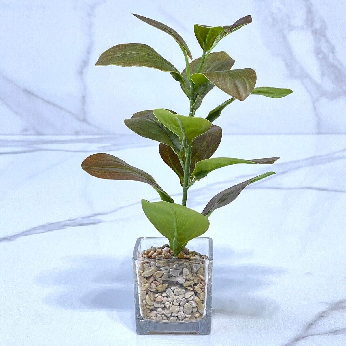 Planta Euphorbia Artificial Maceta Vidrio Alto 27cm 