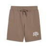 Short PUMA CLASS 8 TR Hombre 684653 93 Taupe