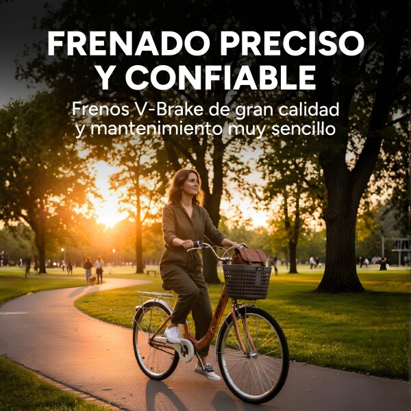Bicicleta BDF Paseo Urbana Rodado 26 " Canasto Freno V-Brake Rosa 1