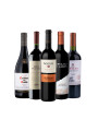 Pack Bacán Selección The Wine Edit x5 vinos Velvet Nights Pack Bacán Selección The Wine Edit x5 vinos Velvet Nights