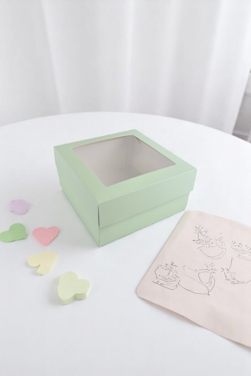 Caja 20x20x9,5 c/visor. - VERDE AGUA 
