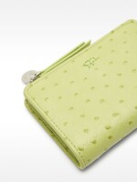 Cartera Con Grabado Animal verde