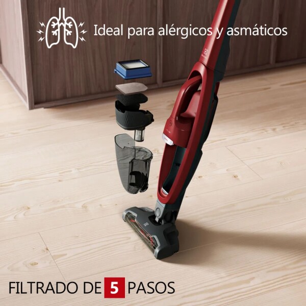 Aspiradora Ergorapido Well Q6 Animal Electrolux Erg36 ASPIRADORA ELECTROLUX INALAMBRICA ERG36