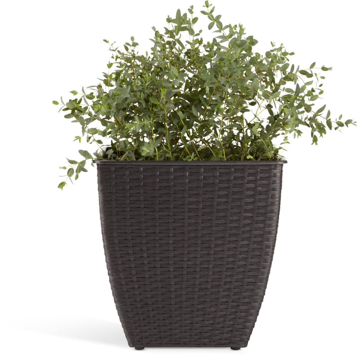 Maceta ISLOM 38x38x39 variado 