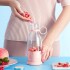 Licuadora Portátil Recargable Botella Con Agarre Usb Jugo Variante Color Rosa