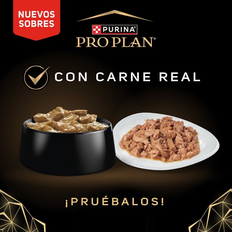 PRO PLAN EN SALSA ADULTO CARNE 100 GRAMOS PRO PLAN EN SALSA ADULTO CARNE 100 GRAMOS