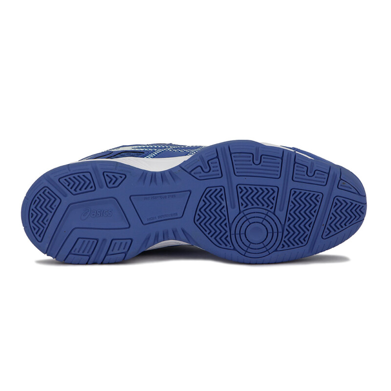 Asics Gel-backhand Purpura-azul