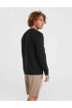 Buzo O'Neill Small Logo Crew Negro
