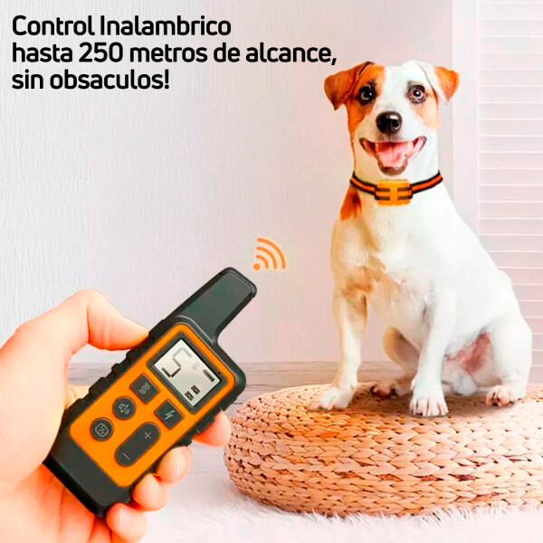 Collar Antiladridos Control Remoto Sumergible Entrenamiento Variante Color Naranja