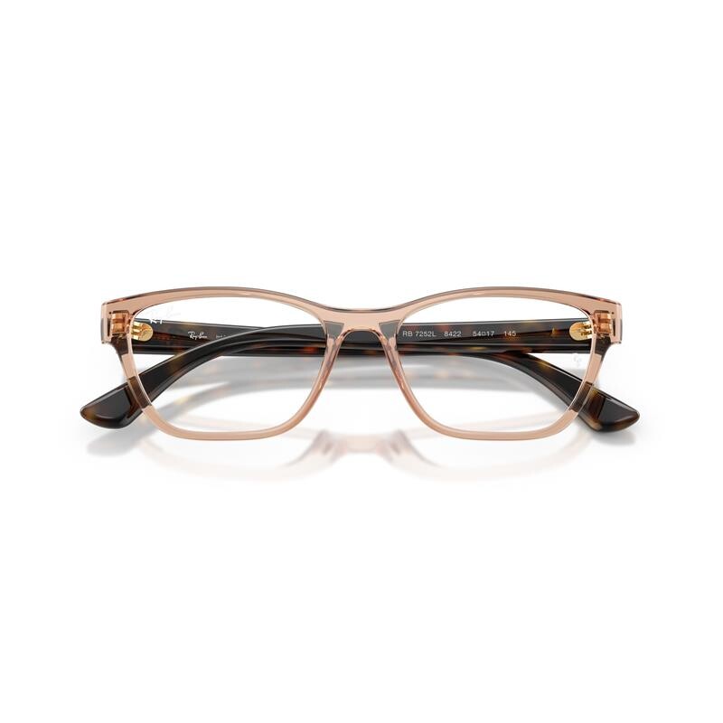 Ray Ban Rb7252l 8422