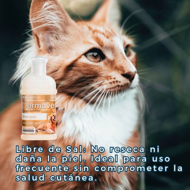 DERMAVEN SHAMPOO CON AVENA LIBRE DE SAL PARA PIELES SENSIBLES DERMAVEN SHAMPOO CON AVENA LIBRE DE SAL PARA PIELES SENSIBLES