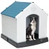 Casa Casilla Mascota Cucha Perro Grande Térmica Con Reja Casa Casilla Mascota Cucha Perro Grande Térmica Con Reja