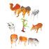 Outlet Animales de la Selva Outlet Animales De La Selva
