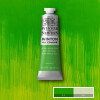 Óleo 37 ml - Winsor & Newton Verdes