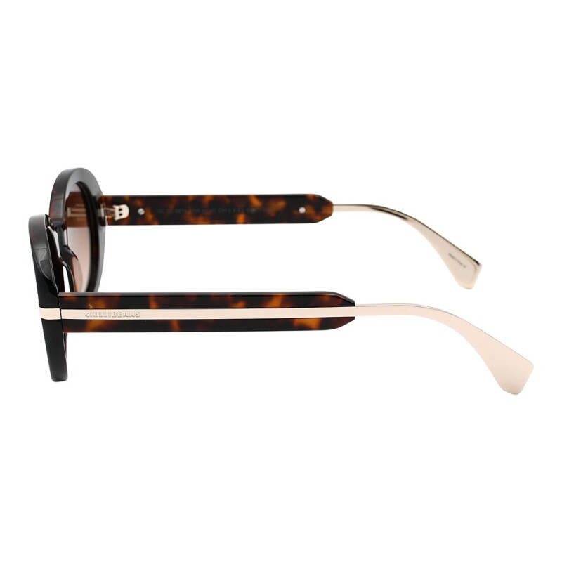 Lentes de Sol Chilli Beans Careiro Animal Print