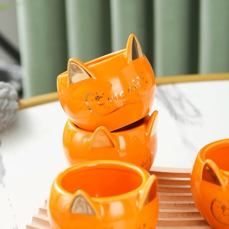 Juego De Té Cat Naranja