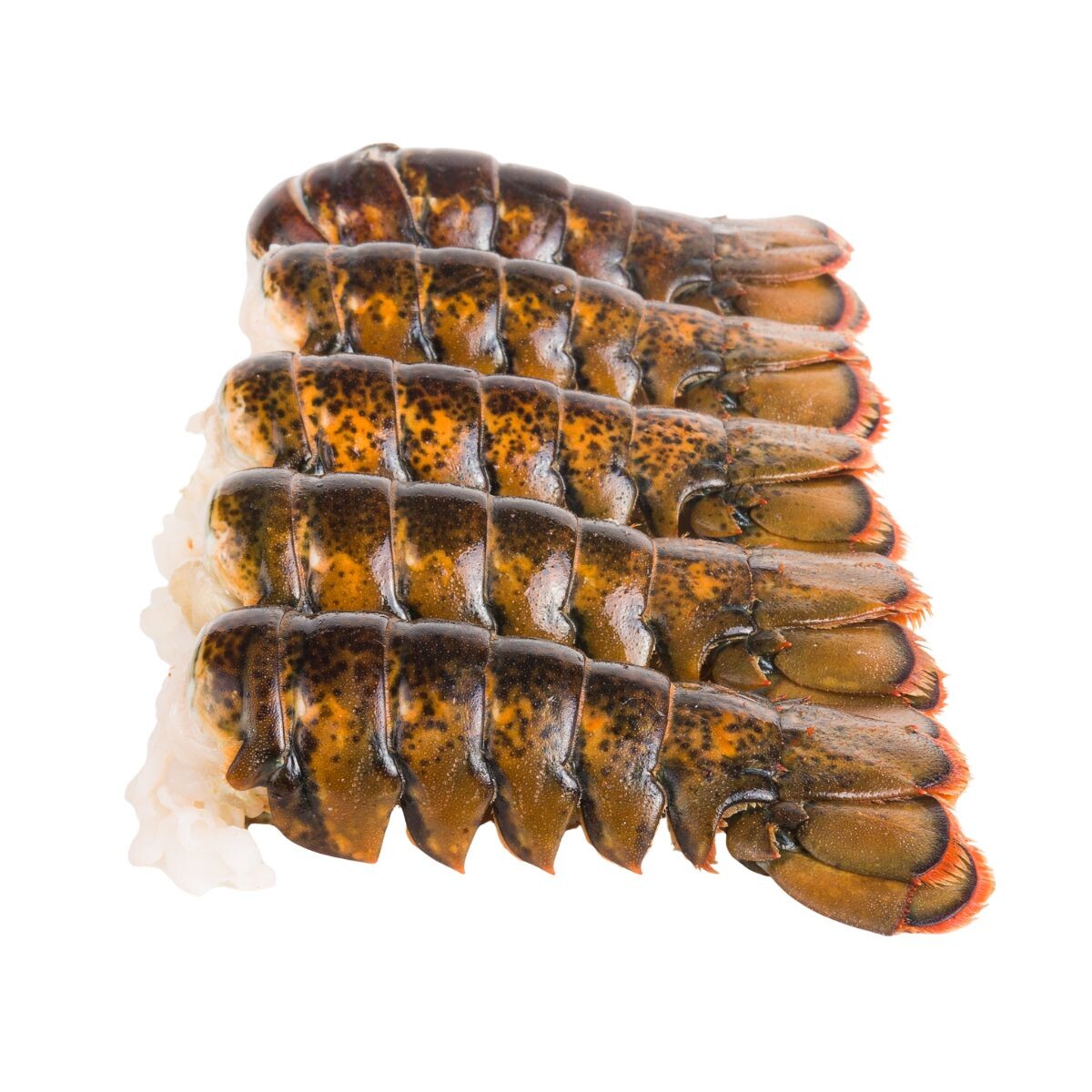 Cola De Langosta Comun Del Caribe 380 - 450 Grs 