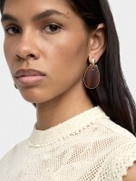 Pendientes Alargados De Resina marron