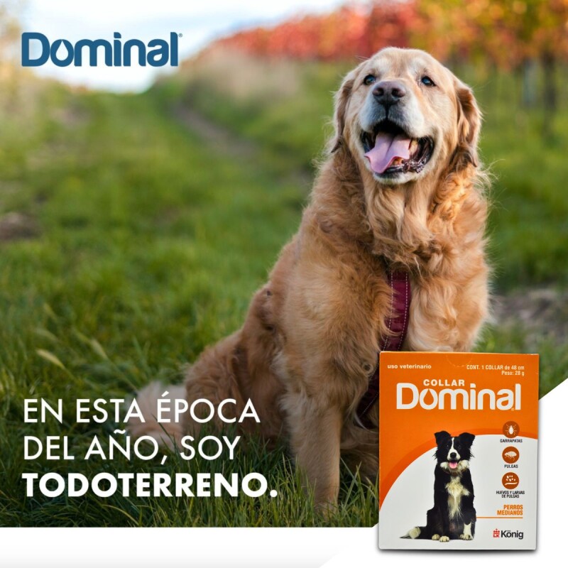 DOMINAL COLLAR ANTIPULGAS Y GARRAPATAS PERROS MEDIANOS 48 CM DE LARGO