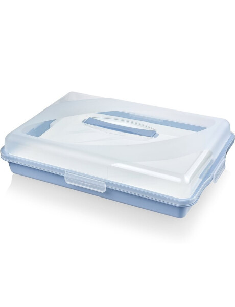 RECIPIENTE PLASTICO P/PASTELERIA C/BANDEJA SURTIDO CELETE-GRIS-ROSA 30x44x9cms RECIPIENTE PLASTICO P/PASTELERIA C/BANDEJA SURTIDO CELETE-GRIS-ROSA 30x44x9cms