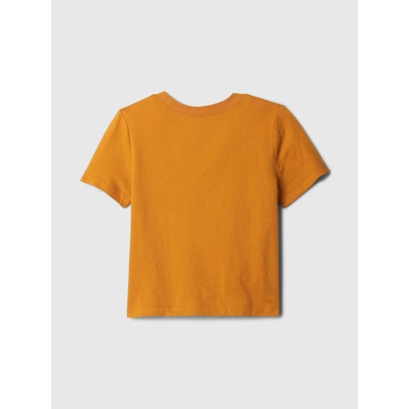 V-FALL LOGO TEE TIGERS EYE 651