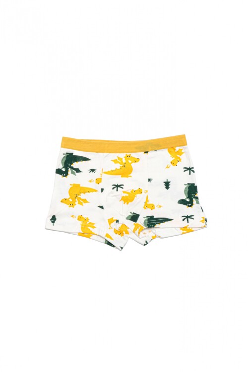 Boxer Teo Amarillo