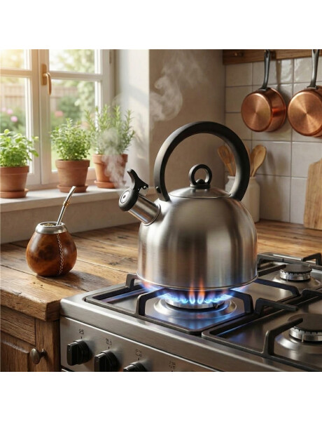 CALDERA 2.0L SILBADOR F.DOBLE M.NYLON ACERO S/CAJA CALDERA 2.0L SILBADOR F.DOBLE M.NYLON ACERO S/CAJA