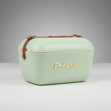 Conservadora Térmica Retro 20L Polarbox Playa Camping Viajes Olivagold