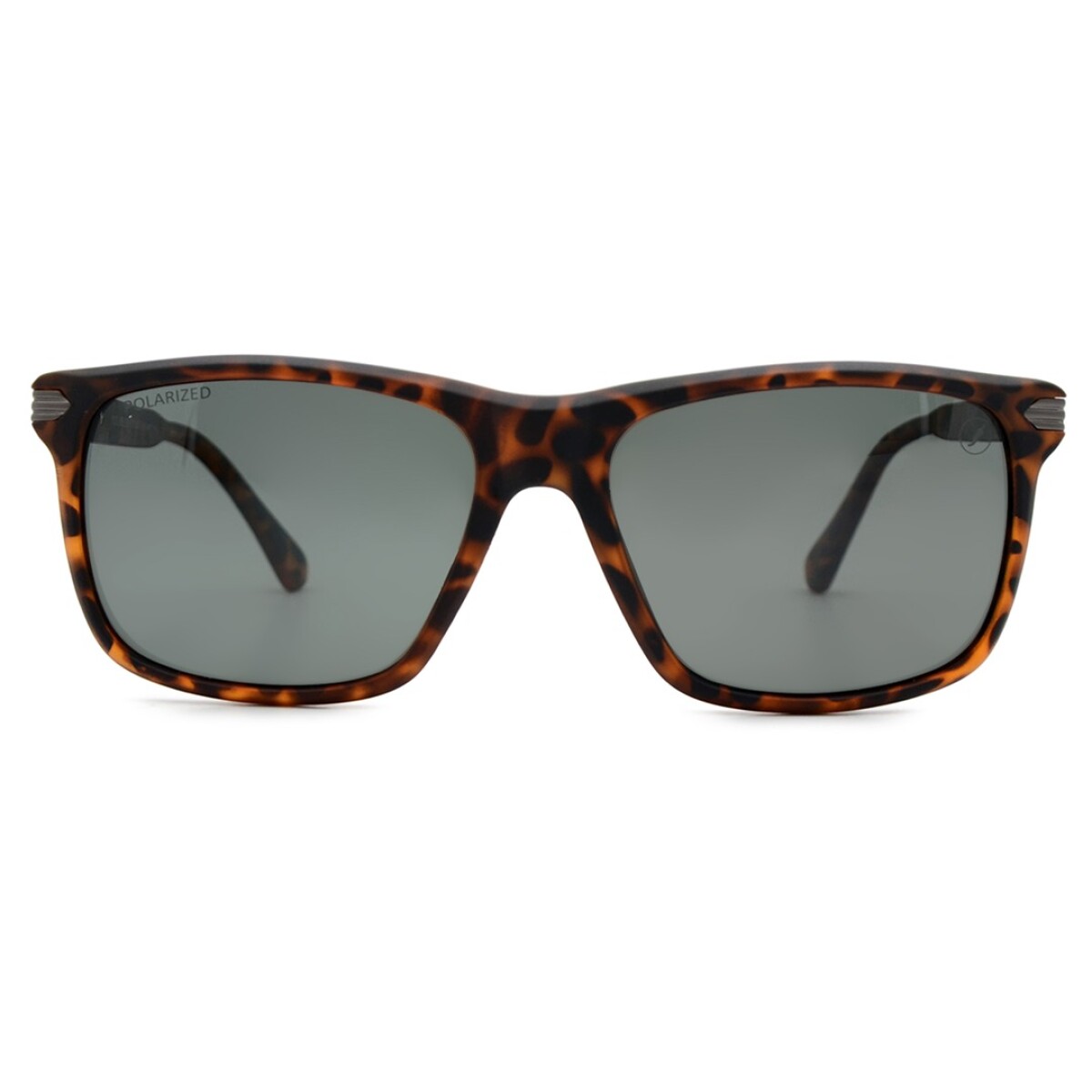 Lentes de Sol Chilli Beans Marsella - Animal Print 