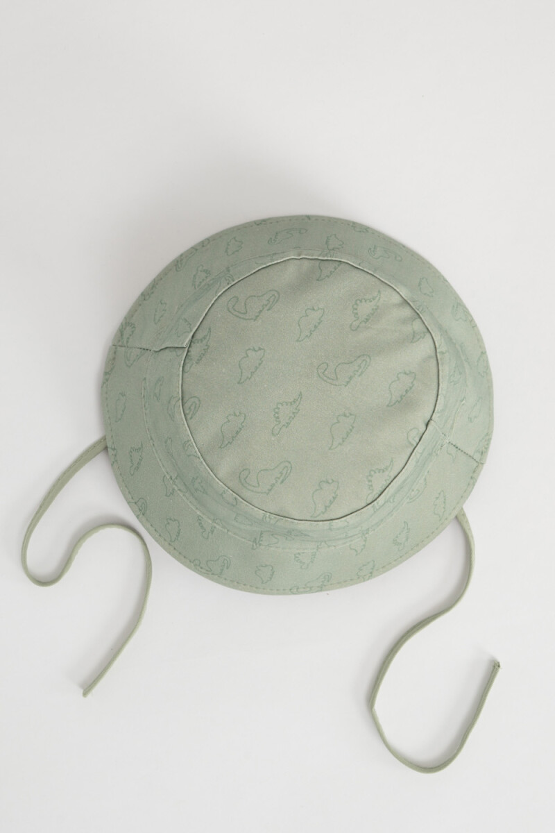 Gorro canvas estampado Dinosaurio Verde