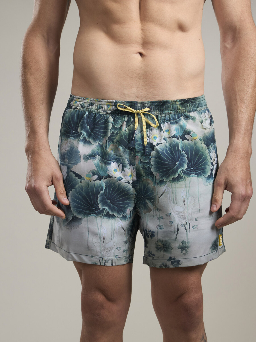 SHORT TORTOISE 8.0 - OSAKA 