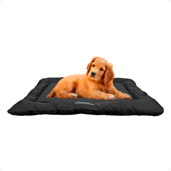Cama Cucha Three Dogs Perros Cama Cucha Three Dogs Perros