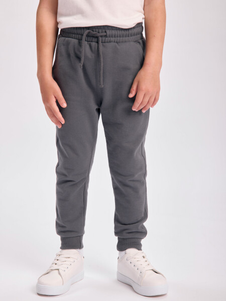 Pantalón deportivo jogger Gris