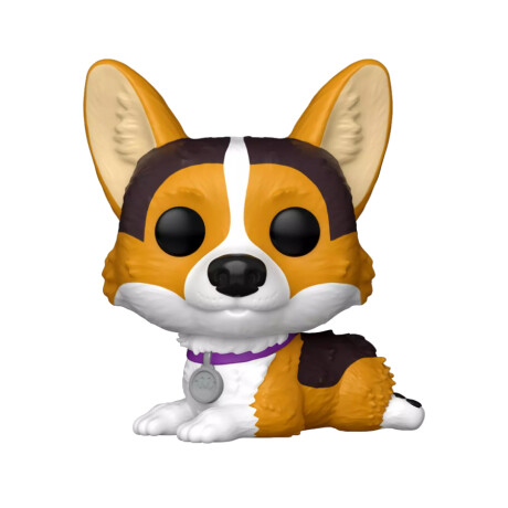Corgi - Pets - 16 Corgi - Pets - 16