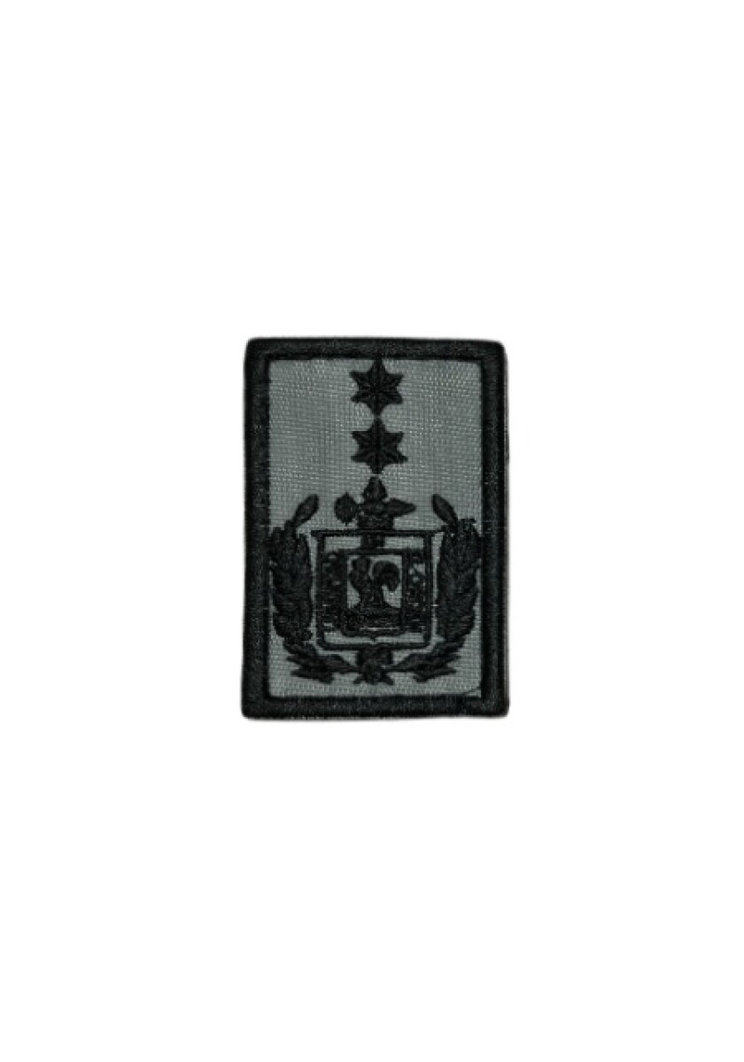 Grado de pecho y chaleco Guardia Republicana - Comandante General 